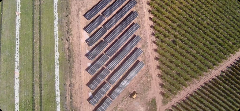 Drone view of ground-mounted solar rows sited between established orchard blocks on a Western Cape fruit farm